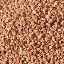 cascara_de_nuez_wallnut_shell